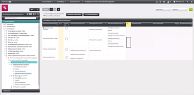 Software screen of an example FMEA analysis in the e1ns software
